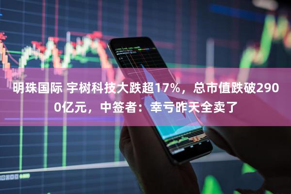 明珠国际 宇树科技大跌超17%，总市值跌破2900亿元，中签者：幸亏昨天全卖了